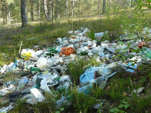 Штрафы за мусор в Горном Алтае возрастут в 5-10 раз 