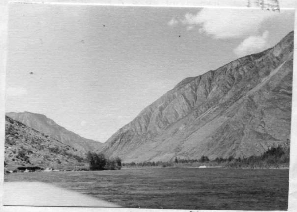 Река Чулышман ниже деревни Коо