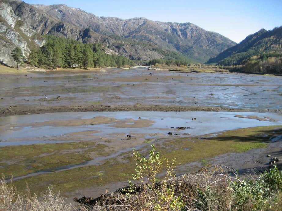 Чемальское водохранилище находится под угрозой исчезновения