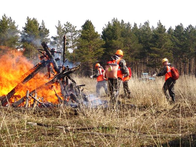 В Республике Алтай за 2012 год выгорело шесть тысяч гектаров леса