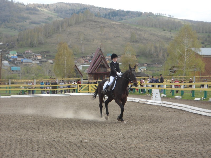 В Горно-Алтайске прошли состязания по конному спорту