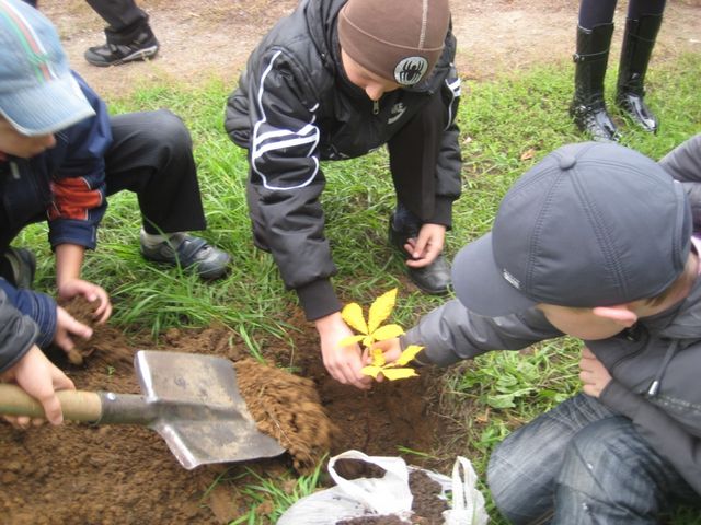 К 25-летию школы в Горно-Алтайске мобильный оператор подарил 40 деревьев