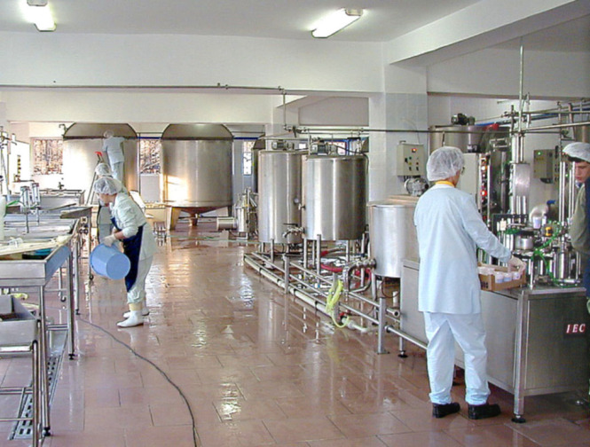 Сотрудники сырзавода купались в молоке, из которого потом делали сыр - Страница 2 Antisanitarija_na_molokozavode
