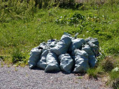 Кемпинги и кордоны Телецкого озера очистили от мусора