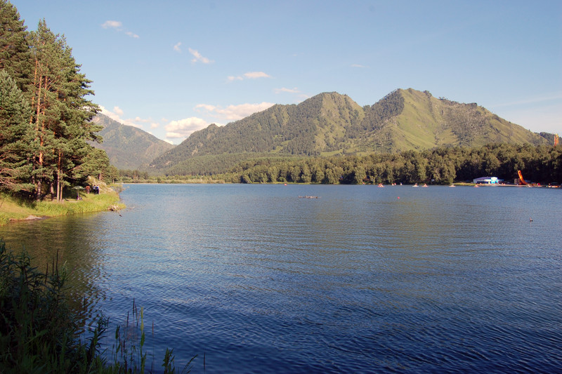 Чемальское водохранилище находится под угрозой исчезновения