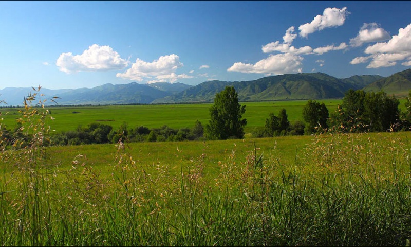 Где-то в Горном Алтае...